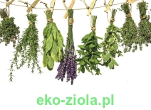 ...ZIOŁA A-Z (sypkie)