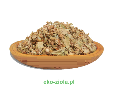 BUKWICA ZIELE (Betonica officinalis)