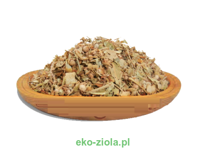 BYLICA POSPOLITA (Artemisia vulgaris L.)
