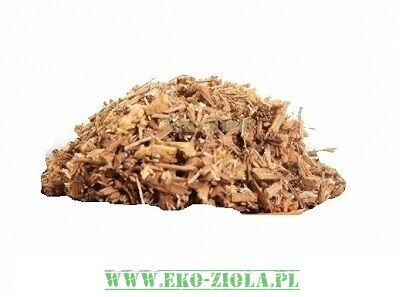 JEMIOŁA (Viscum album L.)