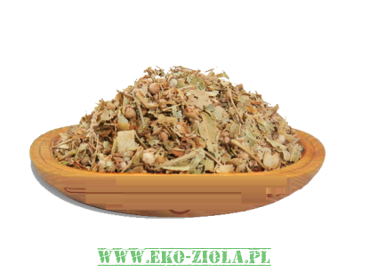 PIOŁUN BYLICA (Artemisia absinthium L.)