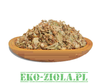 TRAGANEK (Astragalus L.)