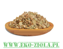 WIĄZÓWKA  błotna (Filipendula ulmaria)