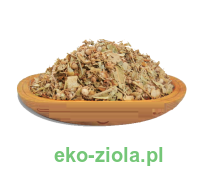 ŻEŃ SZEŃ (ginseng )