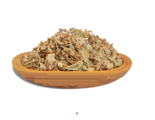 ŻYWOKOST  (Symphytum officinale L.)