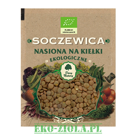 Nasiona na kiełki