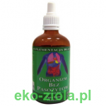 PASOŻYTY