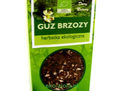 CHAGA GUZ BRZOZY (Inonotus obliquus)