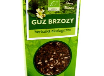 CHAGA GUZ BRZOZY (Inonotus obliquus)
