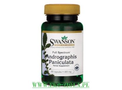 ANDROGRAPHIS paniculata (brodziuszka wiechowata)
