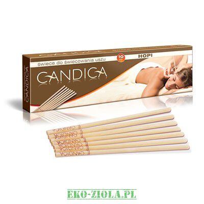 Aura Herbals Konchy Candica 1para