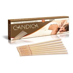 Aura Herbals Konchy Candica 1para