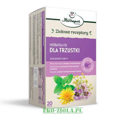 Herbapol Kraków Herbata dla trzustki 20x2g