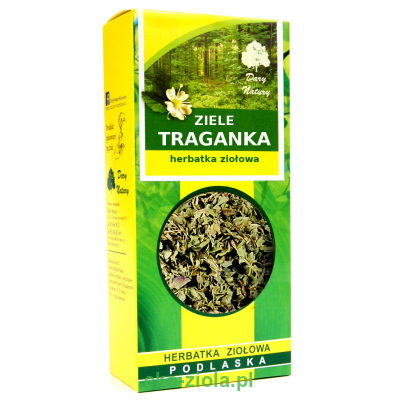 Dary Natury Traganek zele (Astragalus) 50g