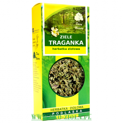 Dary Natury Traganek zele (Astragalus) 50g