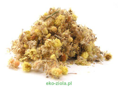 Aromatika Kocanka kwiat 50g