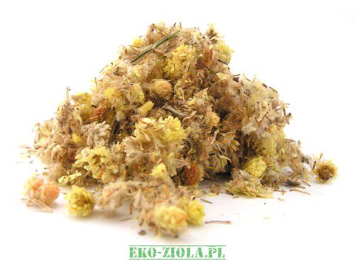 Aromatika Kocanka kwiat 50g