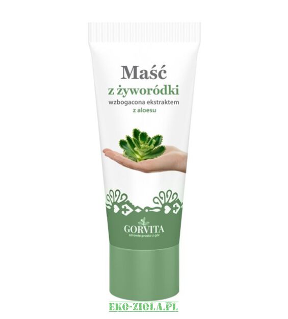 Gorvita Maść z żyworódki wzbogacona ekstraktem z aloesu 130ml