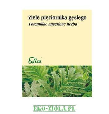 Flos Pięciornik Gęsi ziele (Srebrnik) 50g, Lek OTC