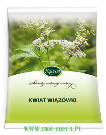 Kawon Wiązówka kwiat herbatka 50g